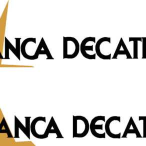 Bellanca Decathlon Logo Decal PAIR (2)